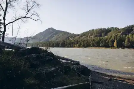 Гранд Алтай - 17