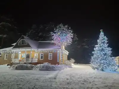 Усадьба помещика Гуляева - 2