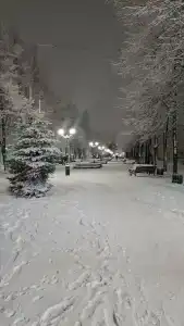 Вернисаж - 4