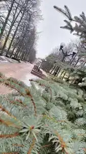 Вернисаж - 5