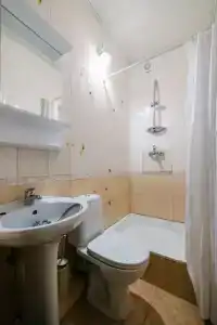 Лотус - 16