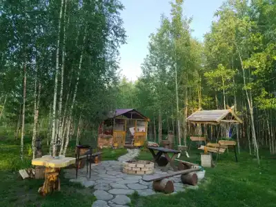 Домик в лесу с баней в Есинке - 3