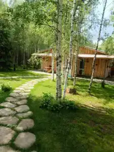 Домик в лесу с баней в Есинке - 21