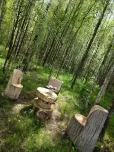 Домик в лесу с баней в Есинке - 22