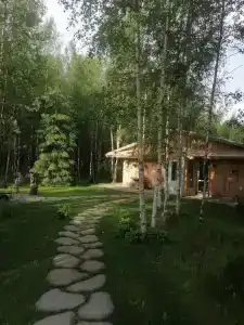 Домик в лесу с баней в Есинке - 24