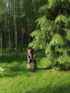 Домик в лесу с баней в Есинке - 25