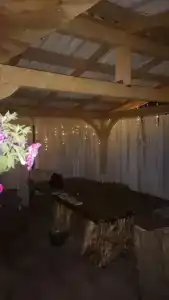 Домик в лесу с баней в Есинке - 26