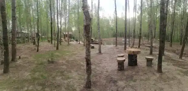 Домик в лесу с баней в Есинке - 1