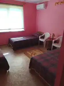 Прибой - 16