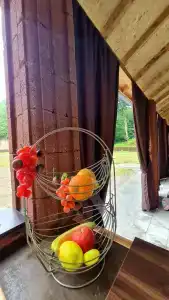 В Мюссерском заповеднике - 4