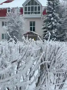 Березовка - 6