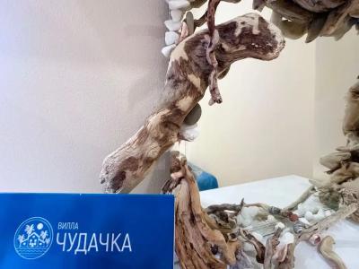 Вилла Чудачка - 21