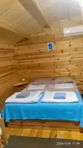 Лия - 2