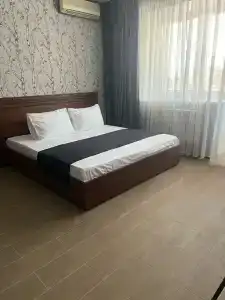 Сова - 8
