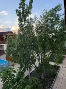Holidays - 21