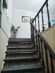 Николя - 6