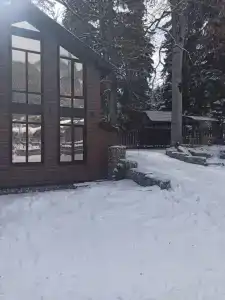 Изумрудный Лес - 9