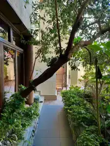 Лето - 1