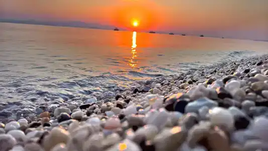 Лето - 7