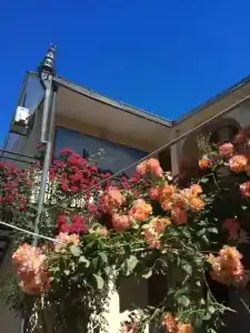 Paradise - 1