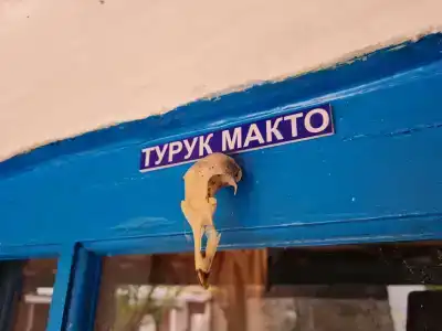 Бабушкин Этнодом - 6