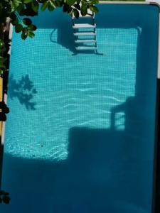 Жемчужина - 92