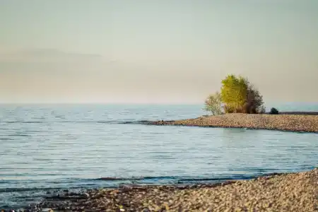 Сагаан Морин - 44