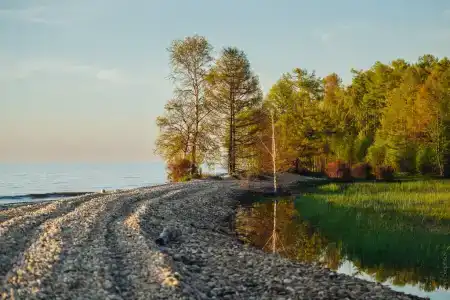 Сагаан Морин - 46