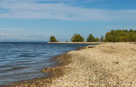 Сагаан Морин - 48