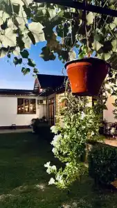 House Diamond - 2