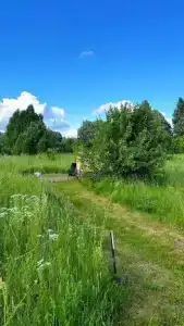 Sup Ruza Glamping - 41
