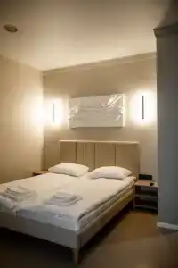 Pillow - 65
