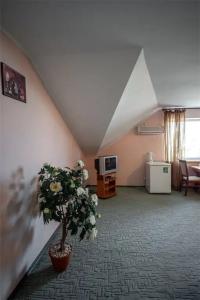 Элит - 44