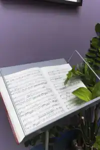 Соната на Маяковского - 2