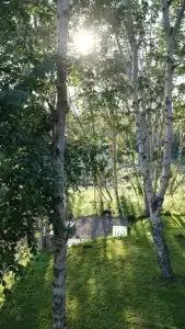 Берлога - 4