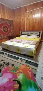 Полустанок - 15