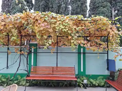 Вероника - 8