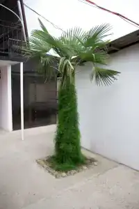 Отдых Мечты - 5