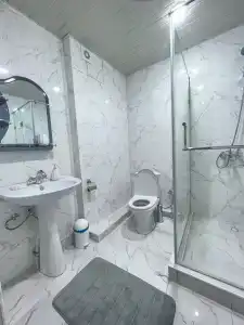 Феникс - 43