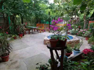 у Жоки - 63