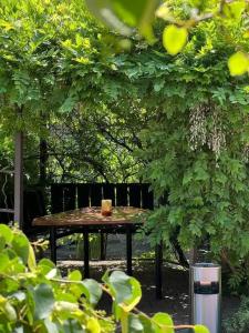 TeRRaSSe - 12