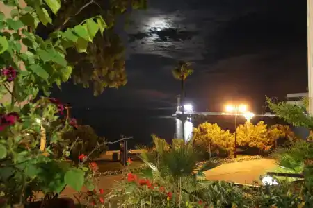 Sukhum City - 0