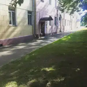 Mini-Zoo - 12