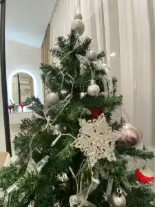 Holiday - 69