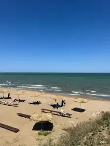 Фламинго - 2