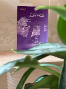 Фламинго - 7
