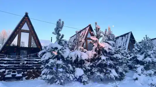 Рай в шалаше в Светлом - 251