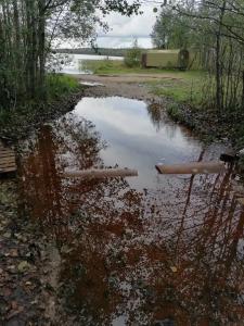 Рай в шалаше в Светлом - 233