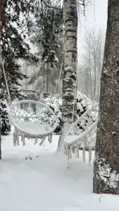Рай в шалаше в Светлом - 301