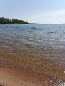 Рай в шалаше в Светлом - 333